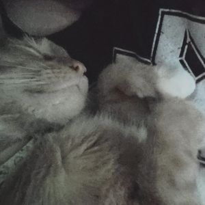 Meet your Posher, Justin